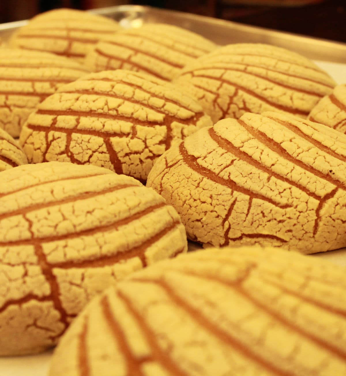 Close-up of conchas pan dulce at Los Portales